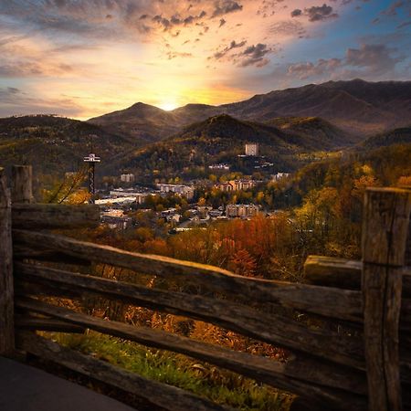 Alpine Joy-Hot Tub, Pond Access ,1089 Of Free Tickets For Each Paid Day, Dollywood And More! Townsend Exteriör bild