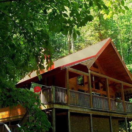 Alpine Joy-Hot Tub, Pond Access ,1089 Of Free Tickets For Each Paid Day, Dollywood And More! Townsend Exteriör bild