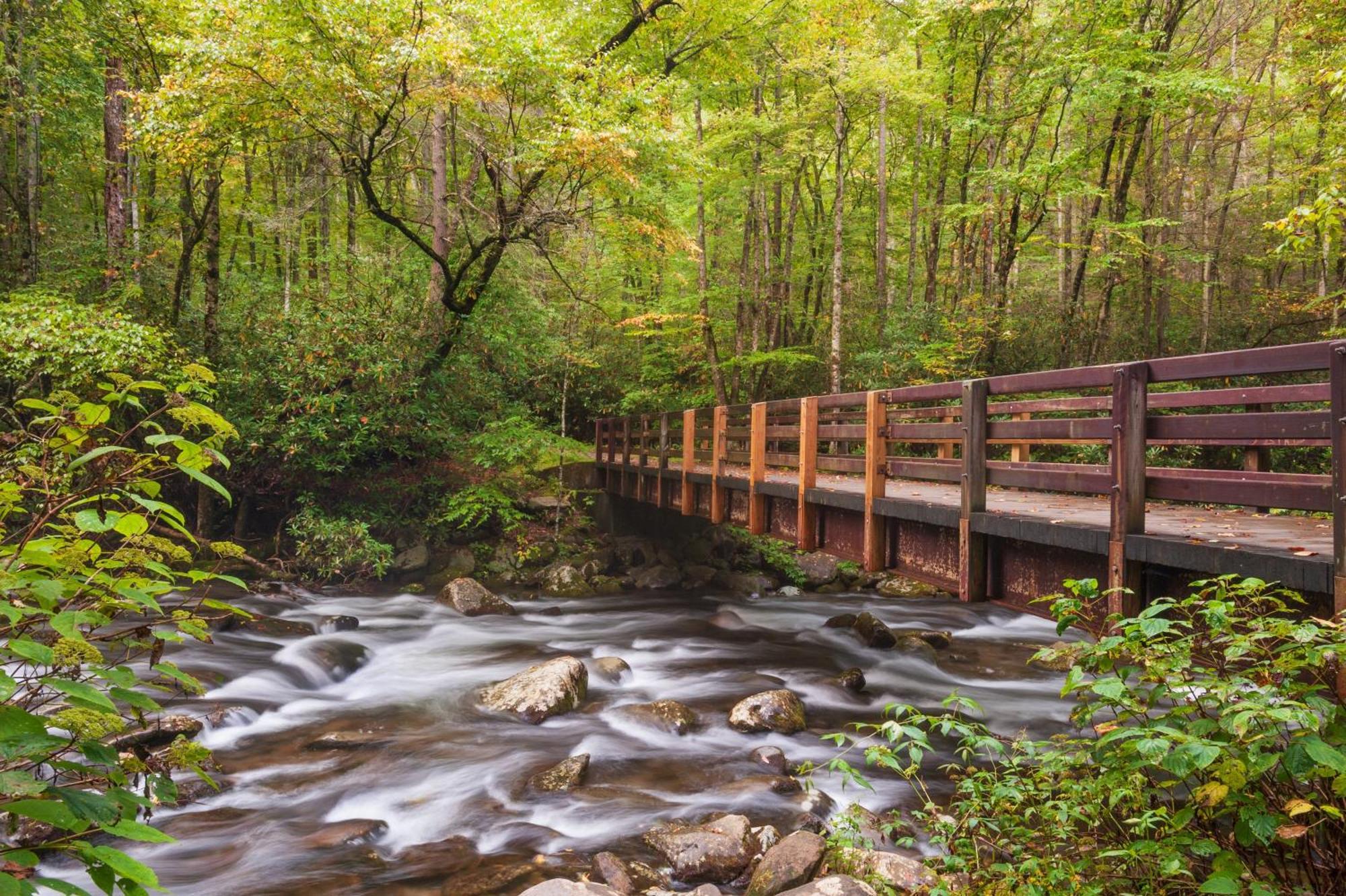 Alpine Joy-Hot Tub, Pond Access ,1089 Of Free Tickets For Each Paid Day, Dollywood And More! Townsend Exteriör bild