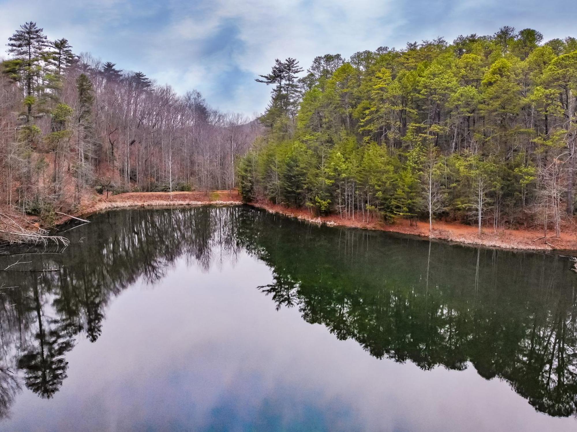Alpine Joy-Hot Tub, Pond Access ,1089 Of Free Tickets For Each Paid Day, Dollywood And More! Townsend Rum bild