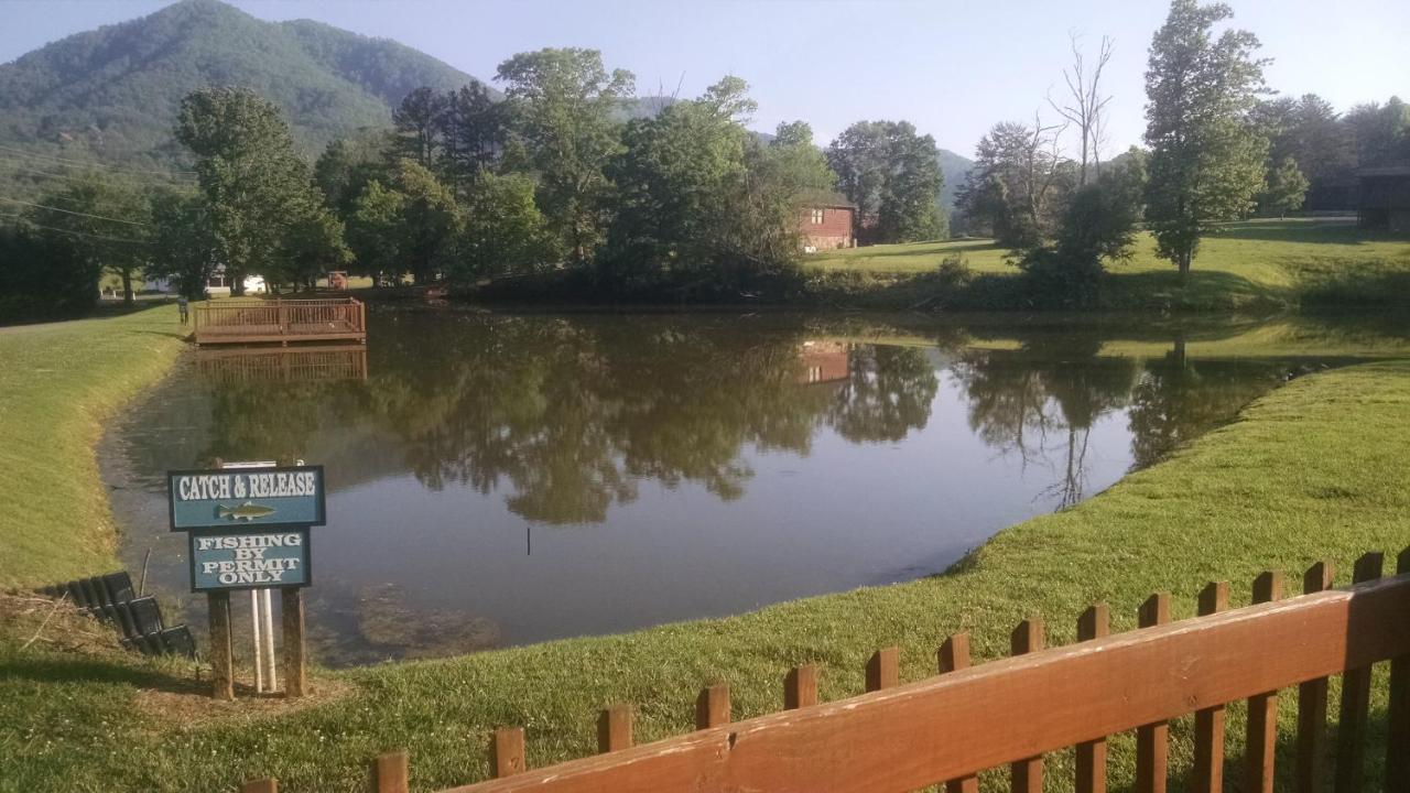 Alpine Joy-Hot Tub, Pond Access ,1089 Of Free Tickets For Each Paid Day, Dollywood And More! Townsend Exteriör bild